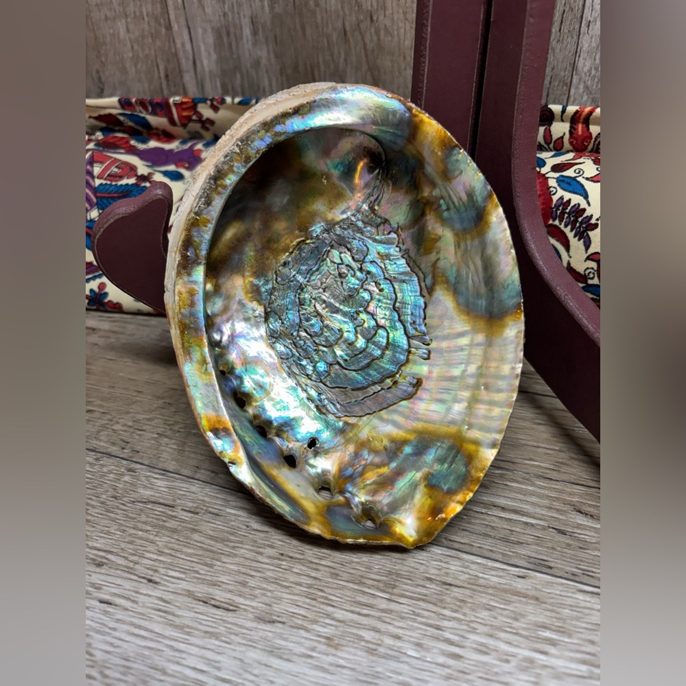 Beautiful Iridescent Abalone Red Seashell Mother Of Pearl, Decor, Smudge Bowl 5”